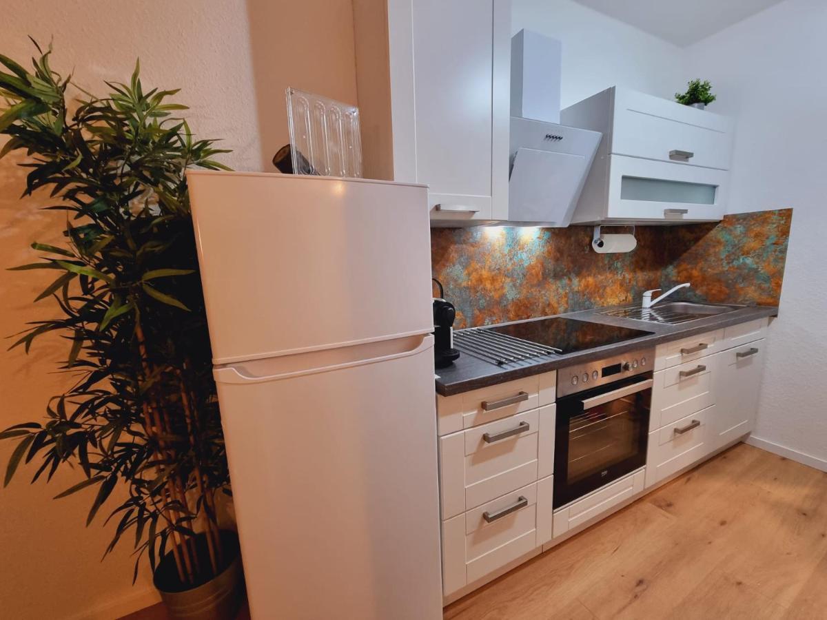 Lifestyle-Appartment Near Basf In Ludwigshafen Exterior foto